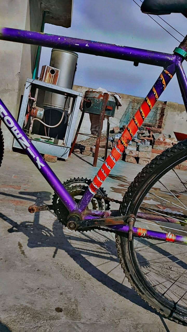 phoenix cycle wheeling 2