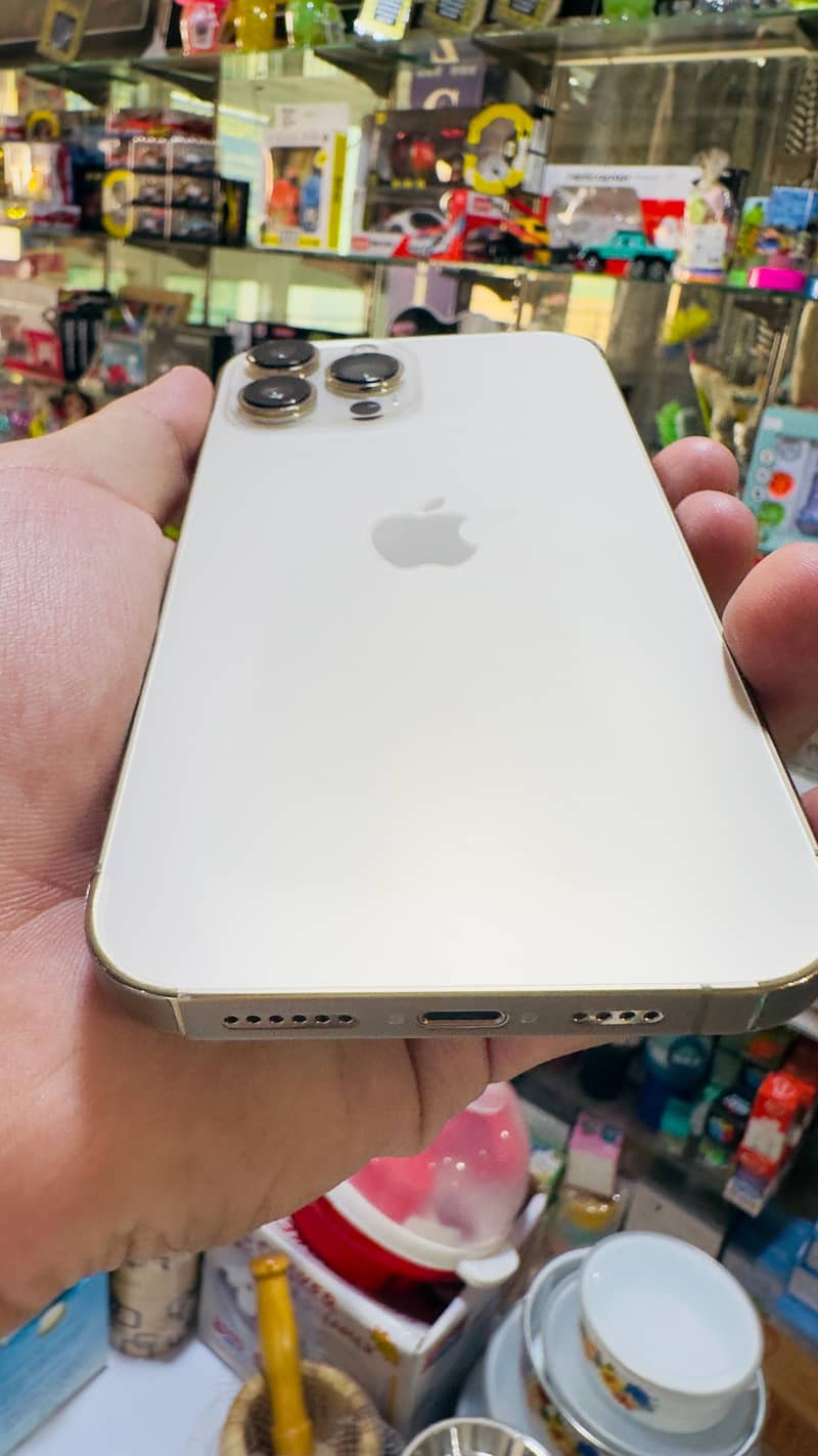 IPHONE 13 PRO MAX 10