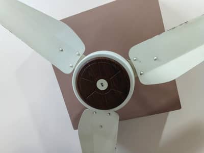 Sk ceiling fan