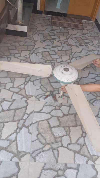 celling fan for sale