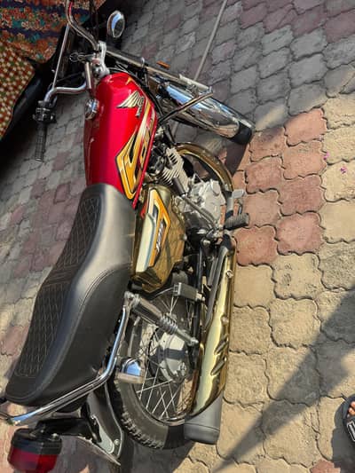 Gold Edition 2025/2026
