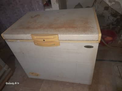 waves one door freezer sale