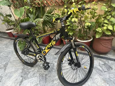Cycle