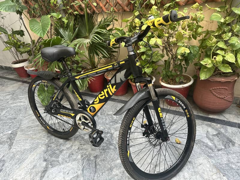 Cycle 0