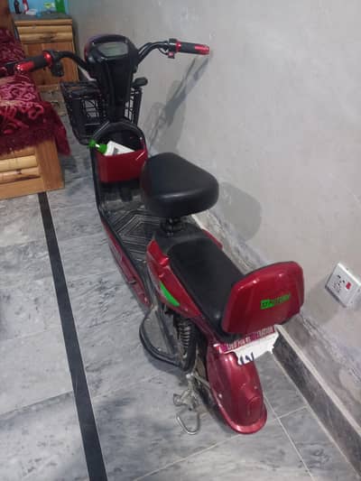 Scootee fir sale