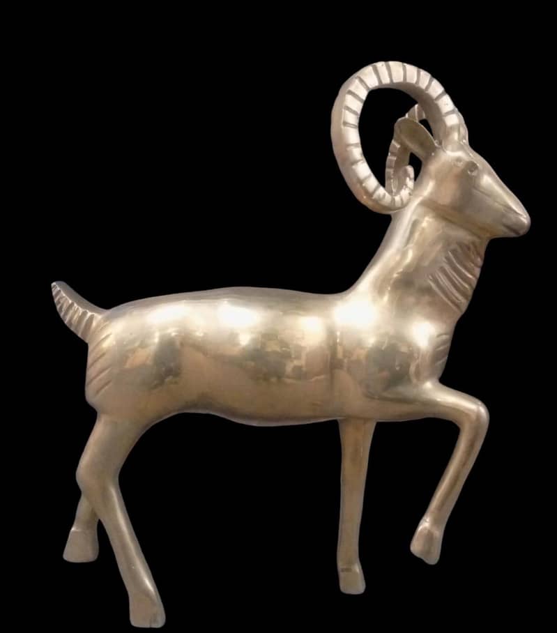 Markhor 6