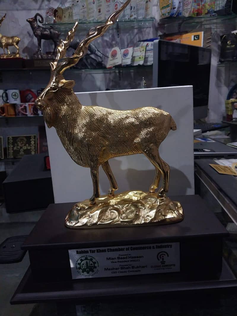 Markhor 8