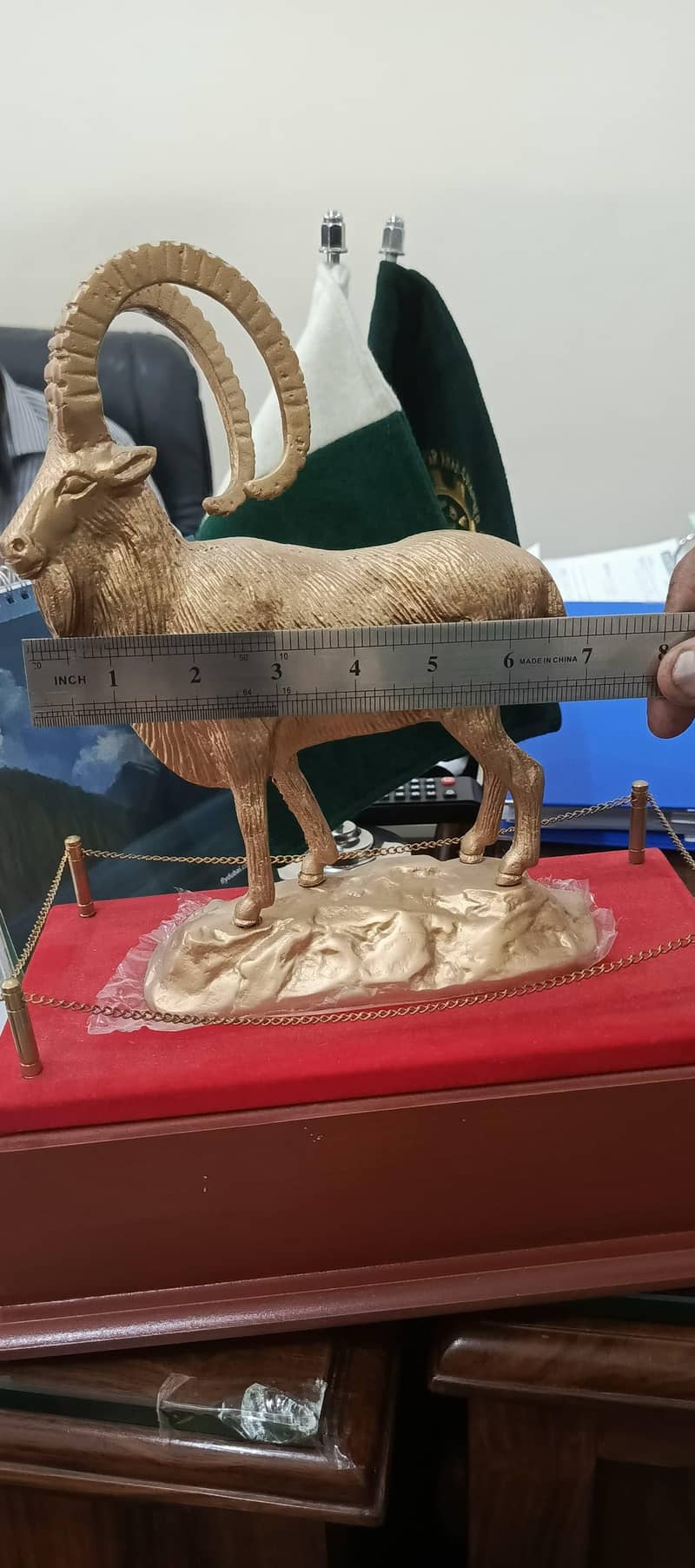 Markhor 9