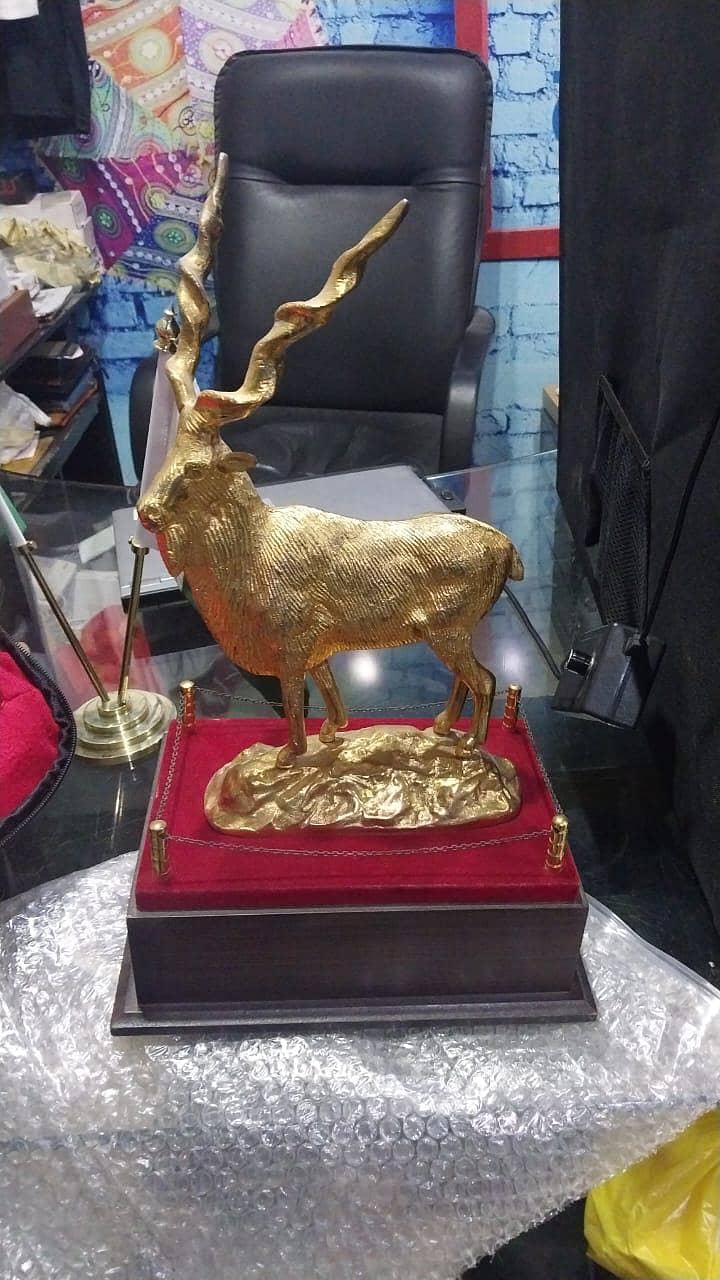 Markhor 10