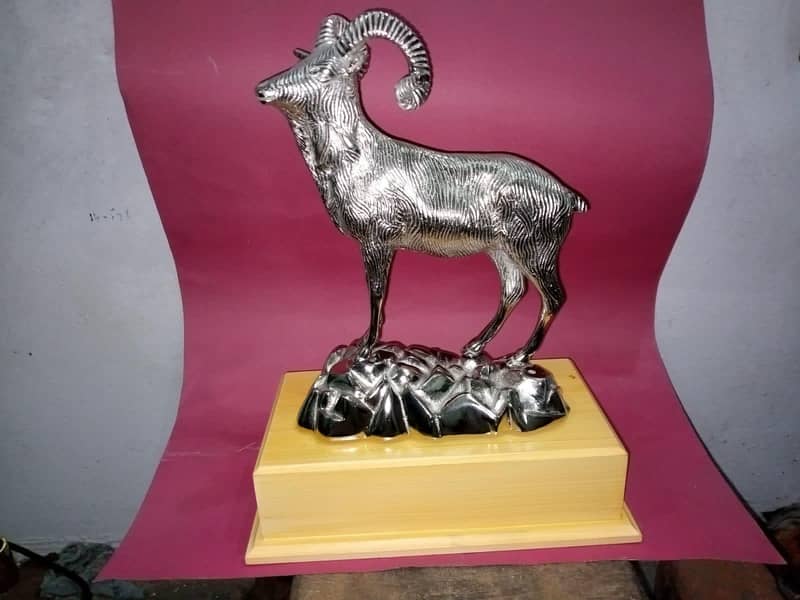 Markhor 12