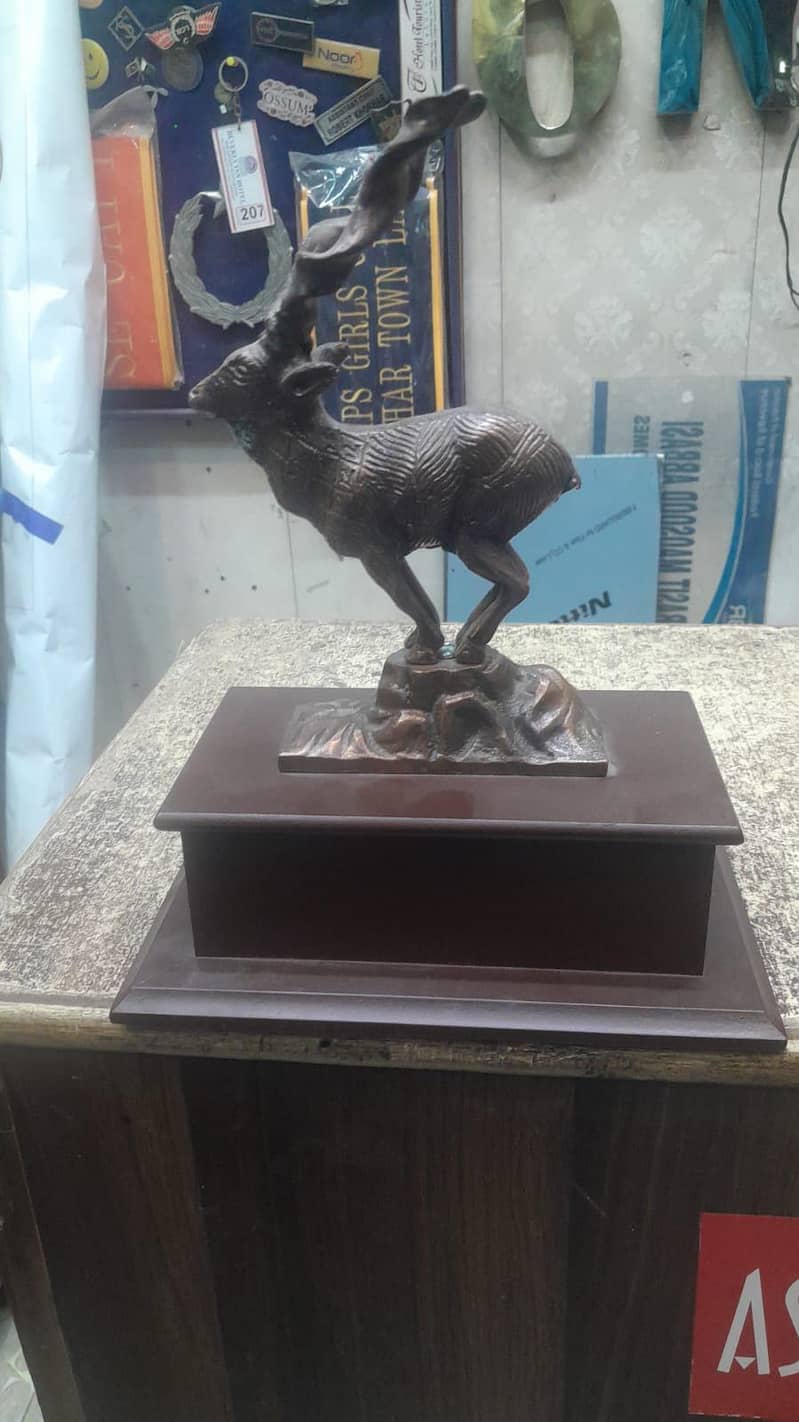 Markhor 13