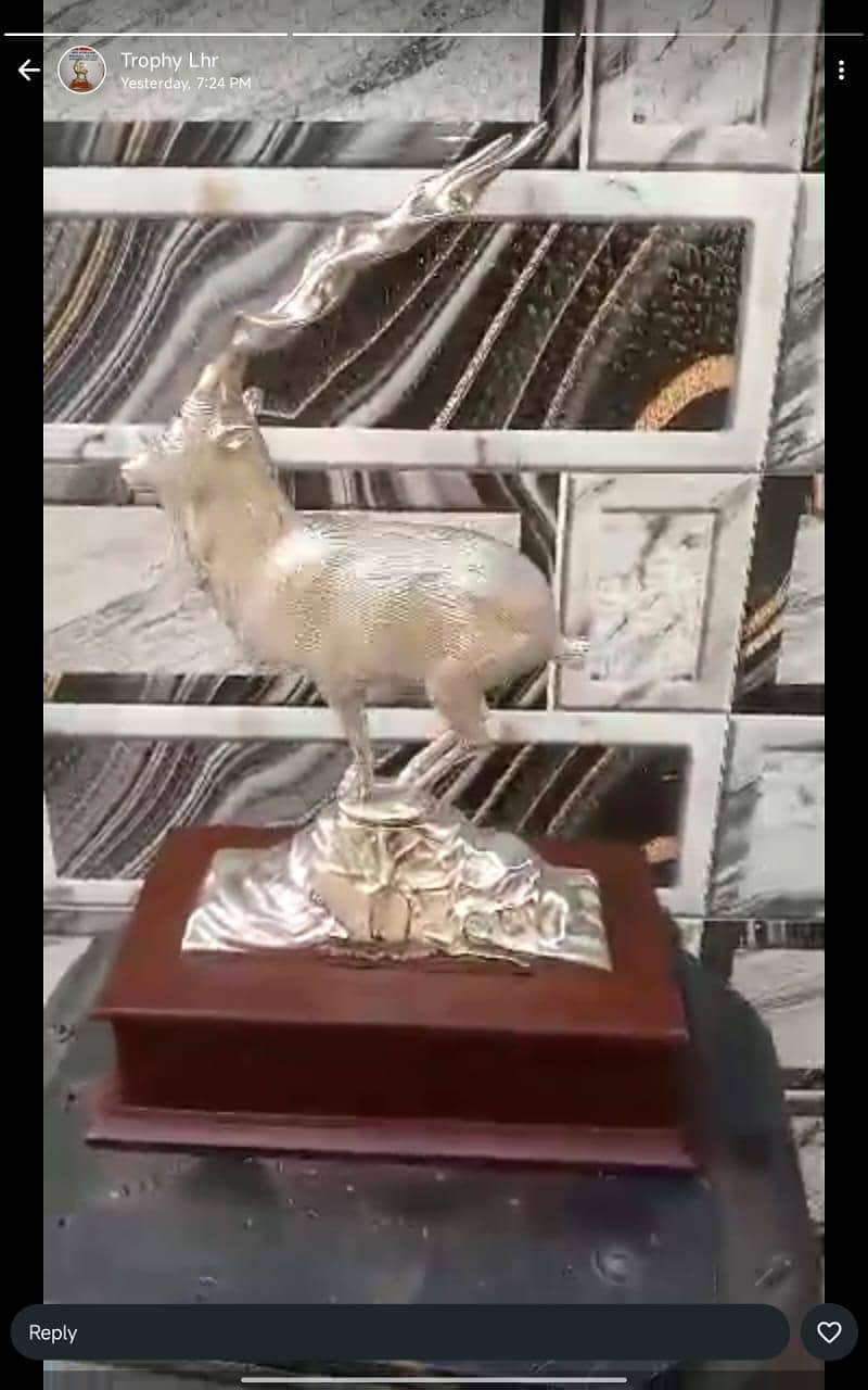 Markhor 14