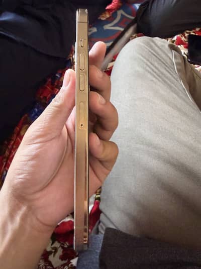 Iphone 13pro max