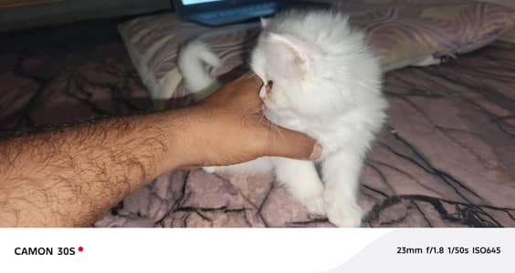 jack and mimmi