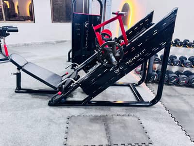 Domestic Home Gym setup / Hack squat Exercise machine / Leg press