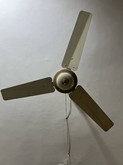 Pak Fan Energy Saver for sale