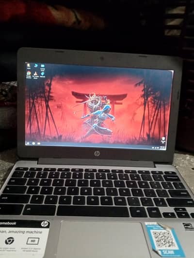 hp Chromebook