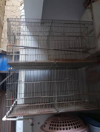 Iron Cage