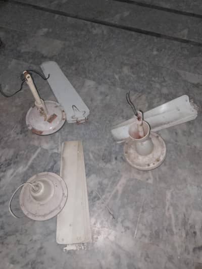 ceiling fans for sale  3 fans in reasonable price