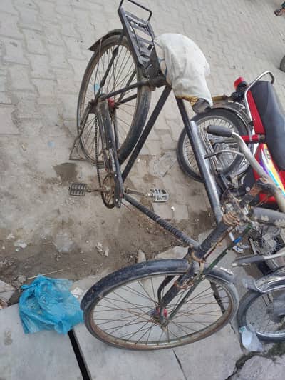 cycle sel karna hai sirf chain utar jaati hai Baki tire tube bilkul ok