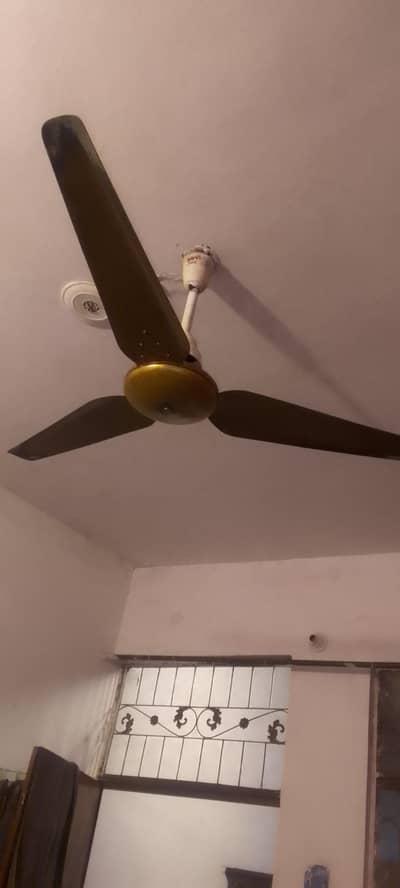 Lahore fan