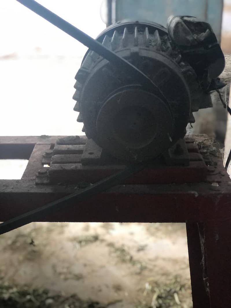 Tokka 7