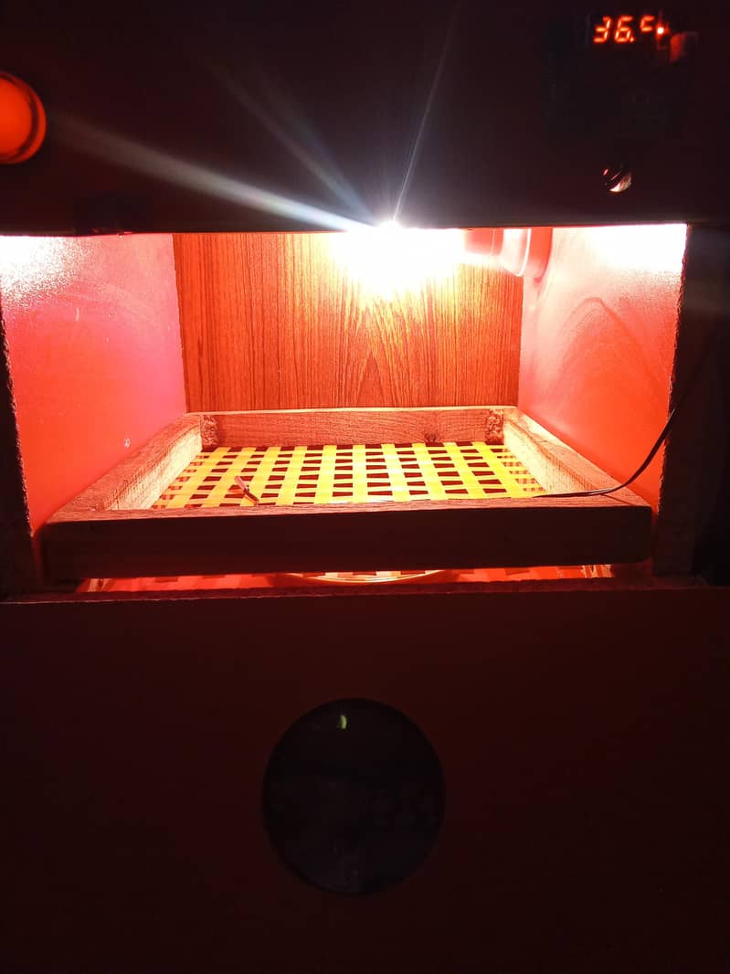 incubator 25 egg 1