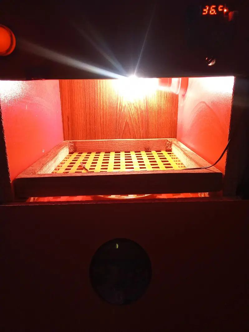 incubator 25 egg — photo 2