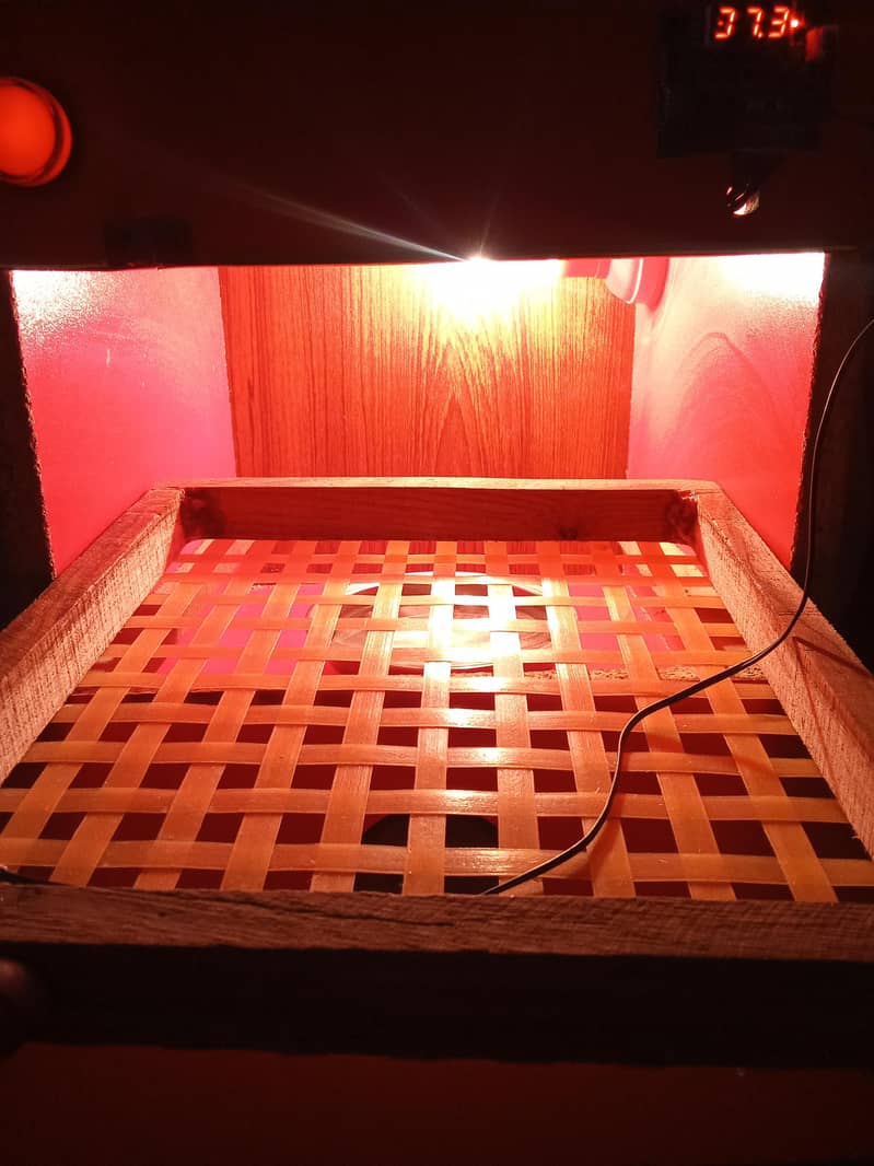 incubator 25 egg 2