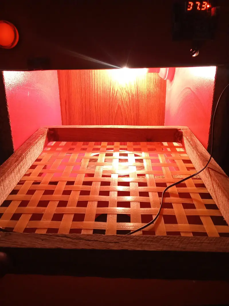 incubator 25 egg — photo 3