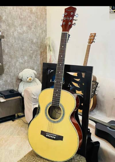 Sampson guitar for professional  and intermediate player