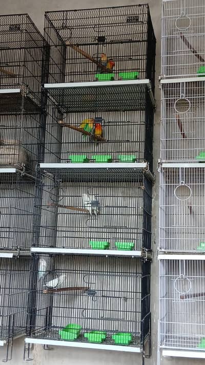 master cages 4