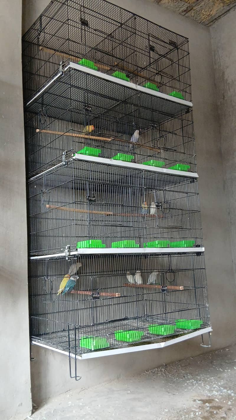 master cages 4 1