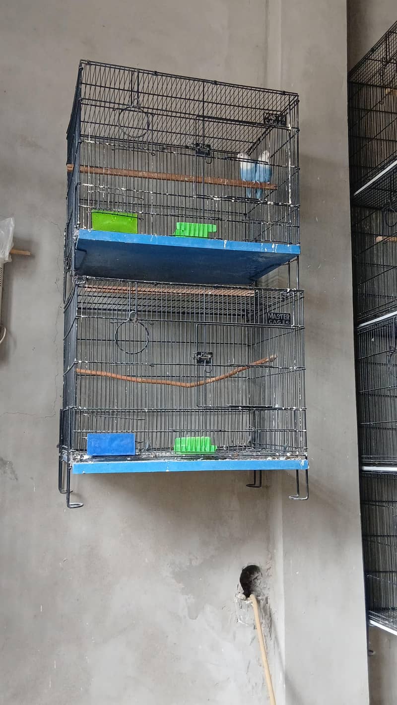 master cages 4 2