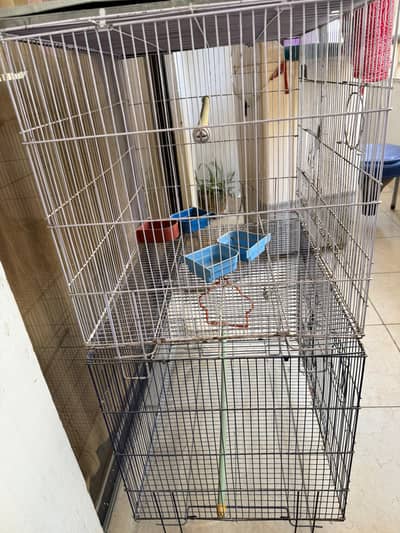 Master cage for sale
