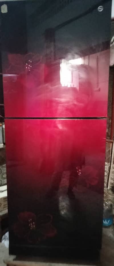 Pel glass door fridge