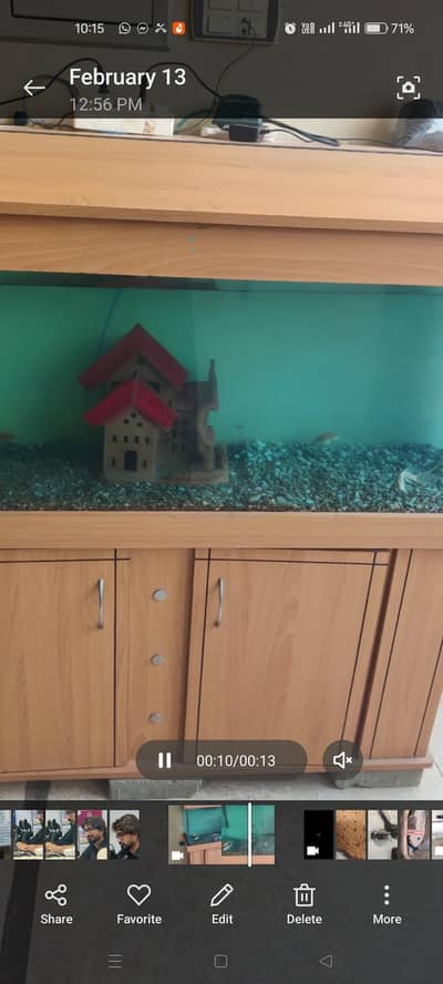 Aquarium with all items and accessories