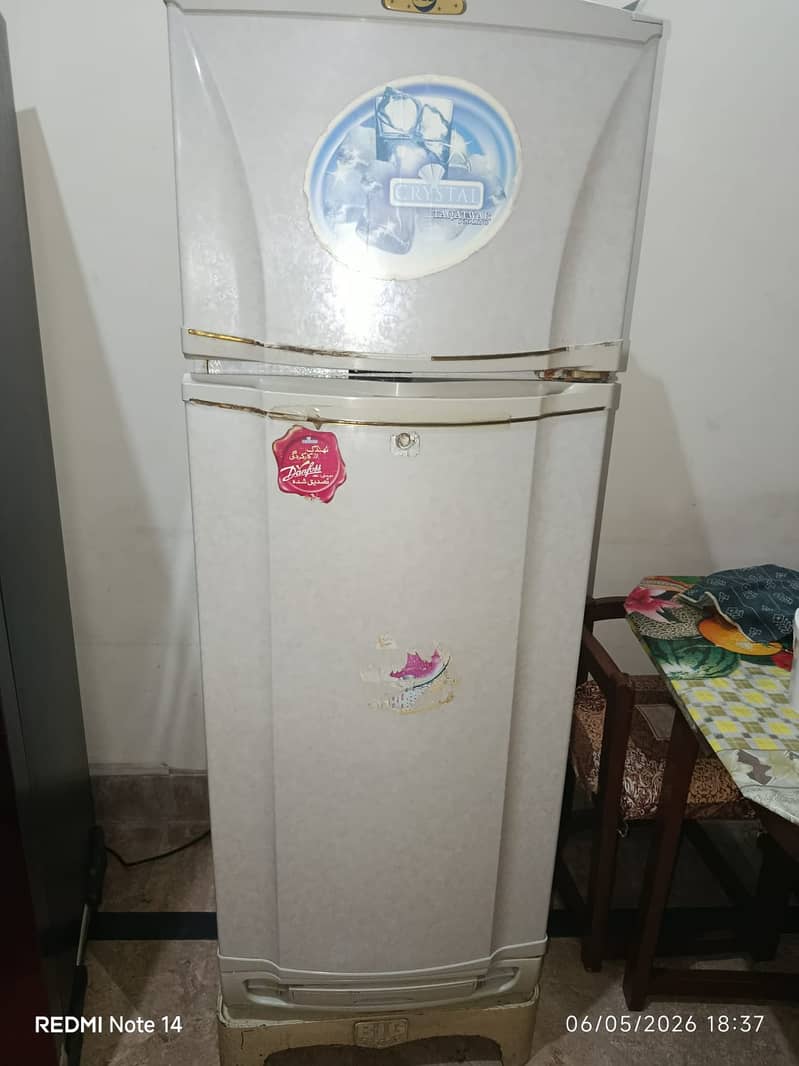 Pell (Medium Size) 4