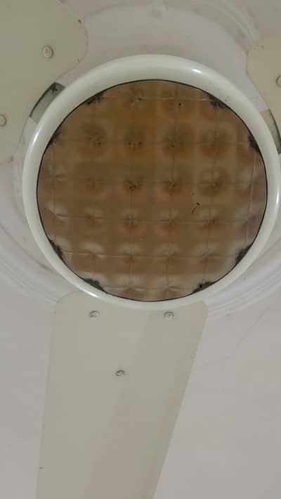 celling fan good condition ok