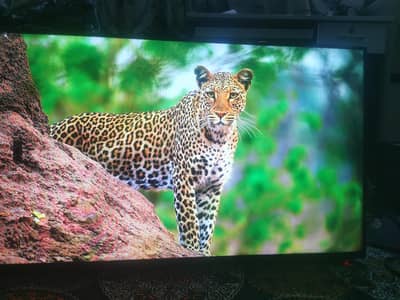 Samsung wisdom 4K ultra HD