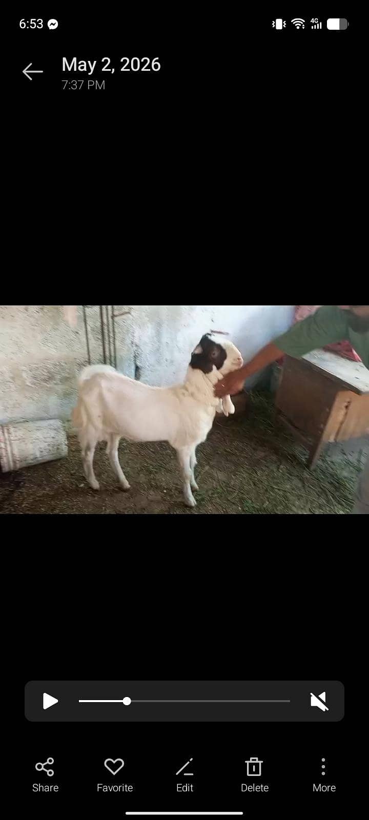 bakra 1