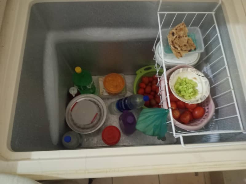 Freezer 1