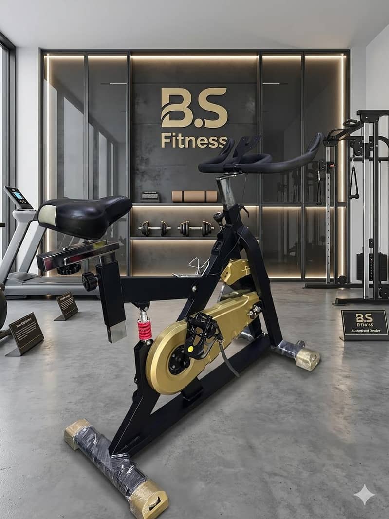 Exercise ( Manual 21 rollers treadmill) 14