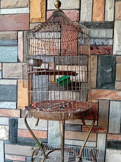 cages for sale