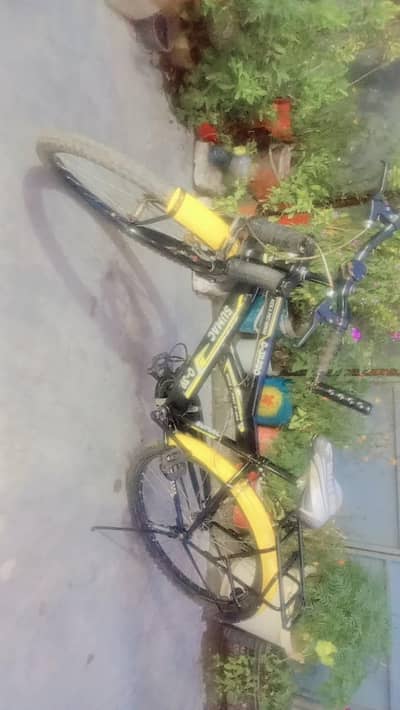 New Cycle For Sale
