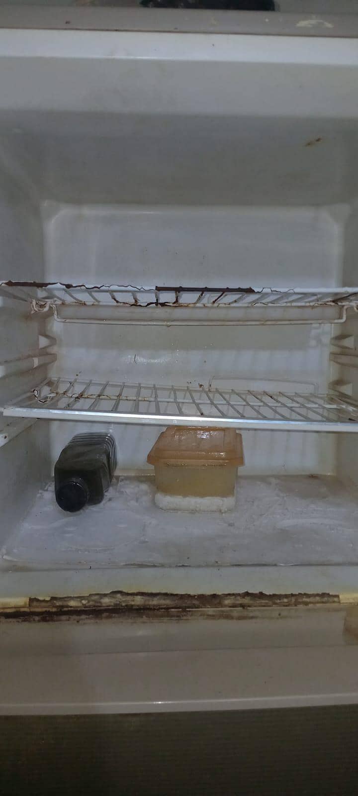 Full size Fridge 1