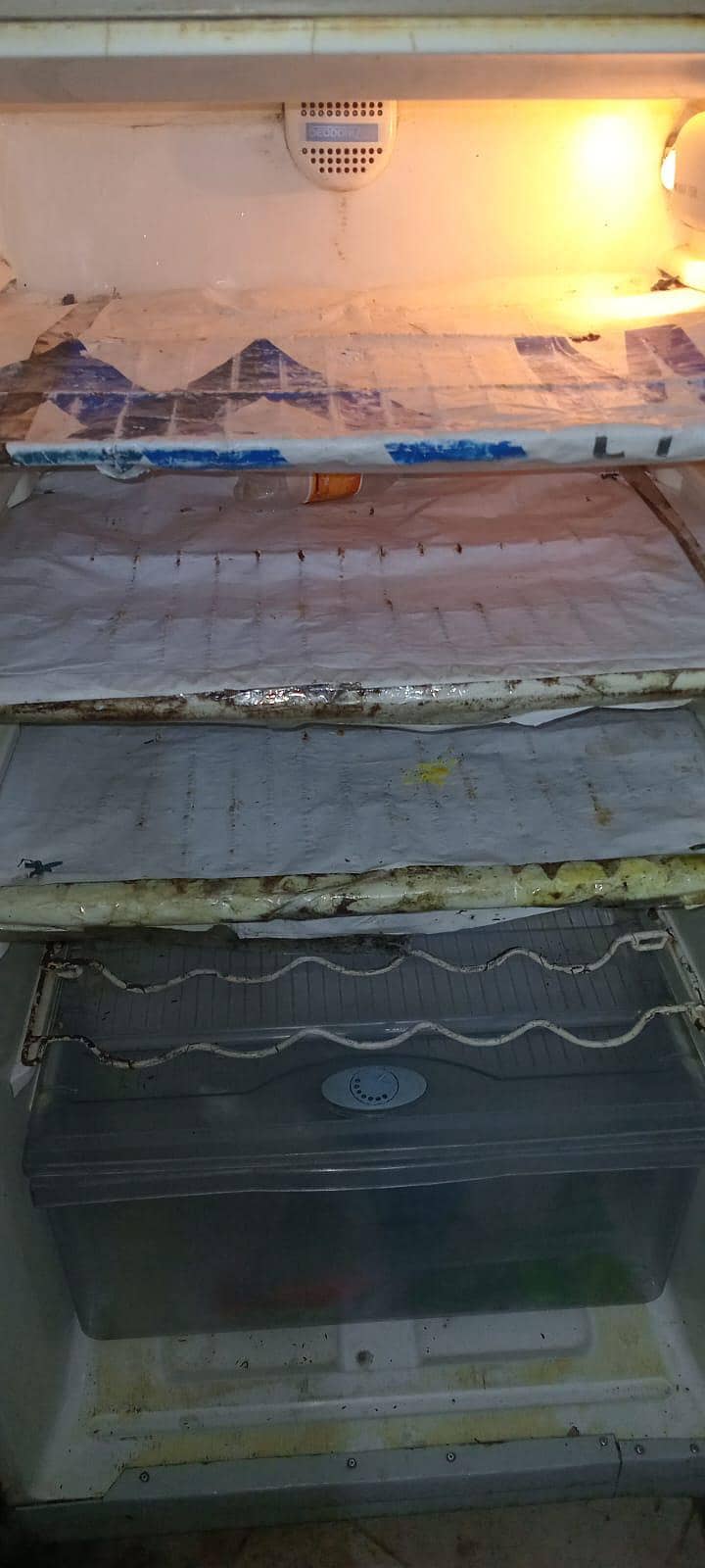 Full size Fridge 3