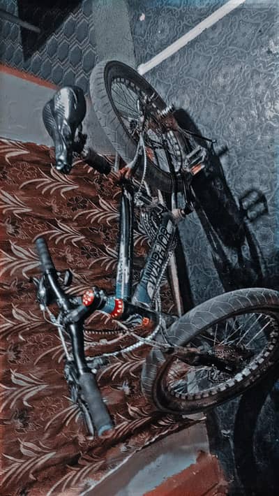 cycle