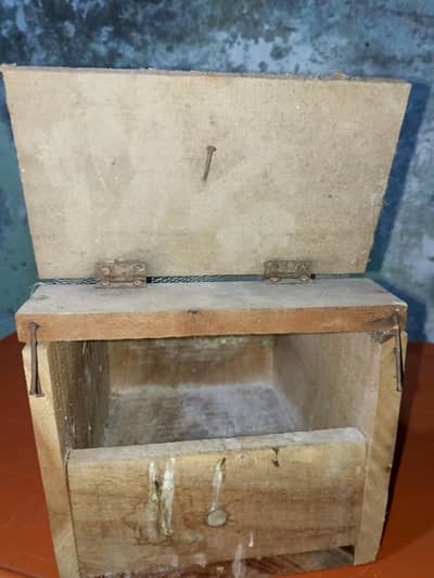 Birds used accessories and breeding boxes kikkar available able