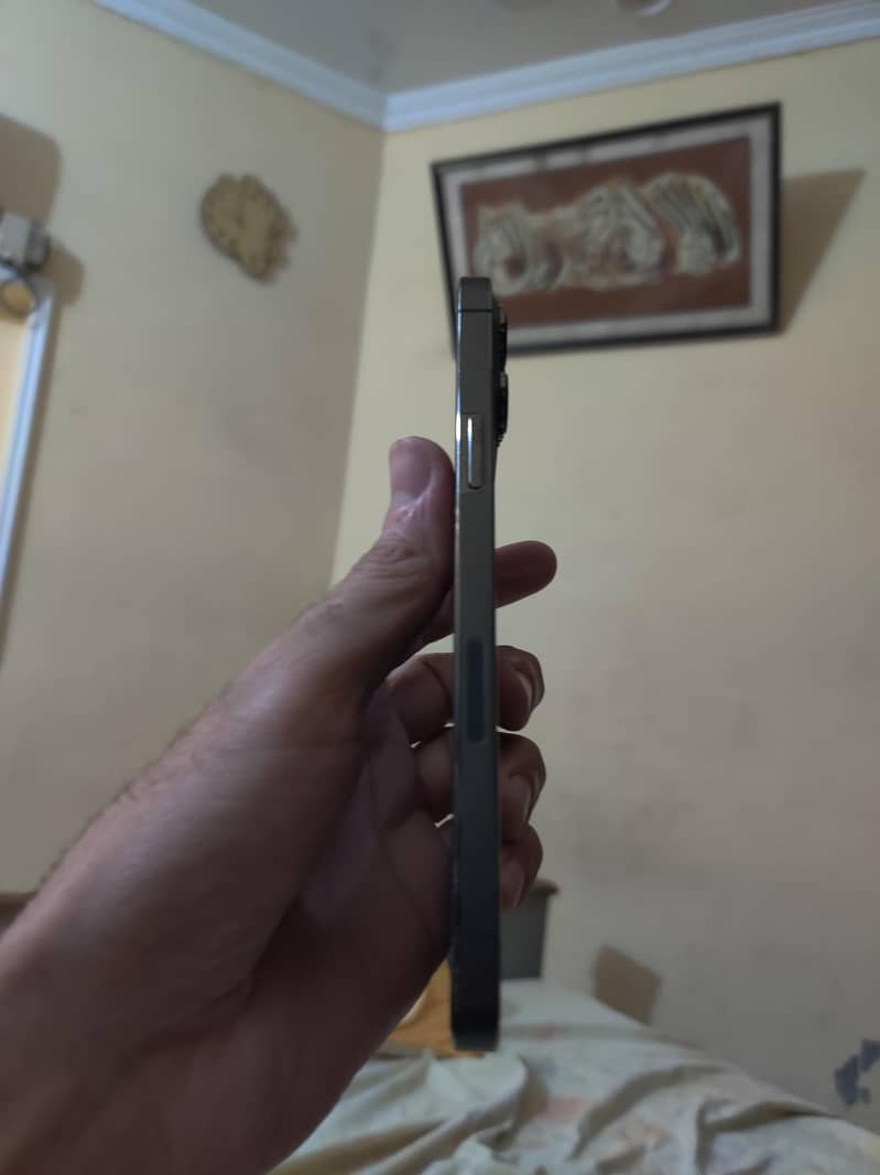 iphone 13pro max 1